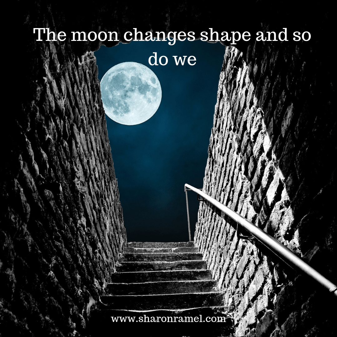 shape shifting with the moon shape shifter shamanism