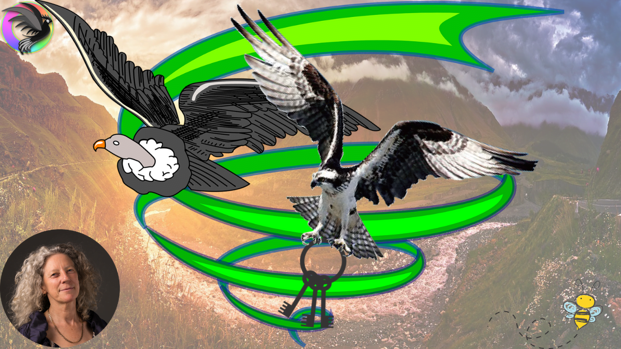 Shamanic Journeying Masterclass Shamanic journeying