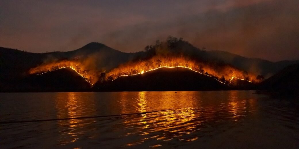 wildfire creation create your life