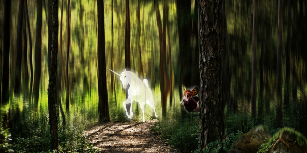 Embrace shamanism What do you see