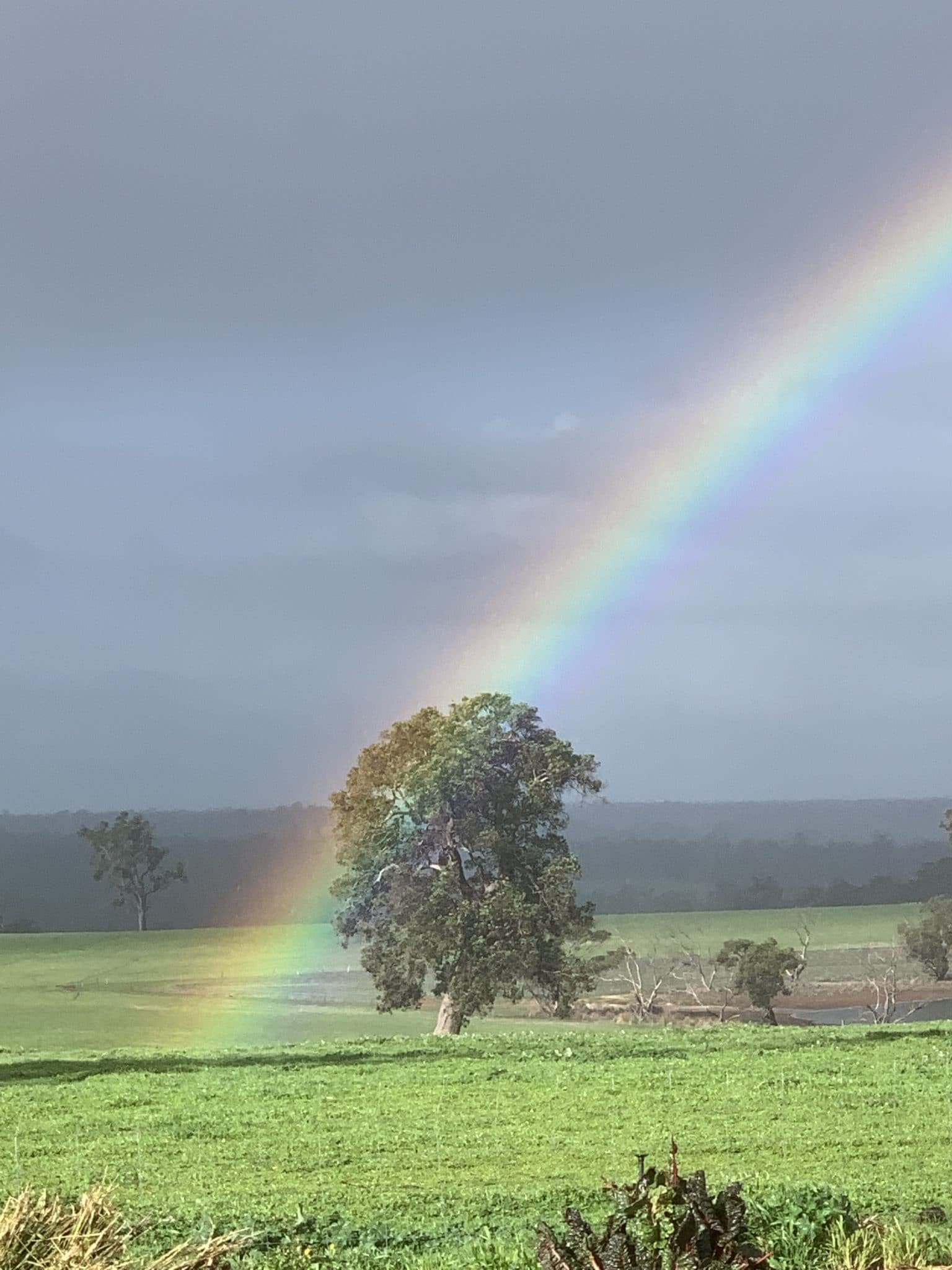 Timeless Time Breathing Gently - Sharon Ramel Spiritual Instructor