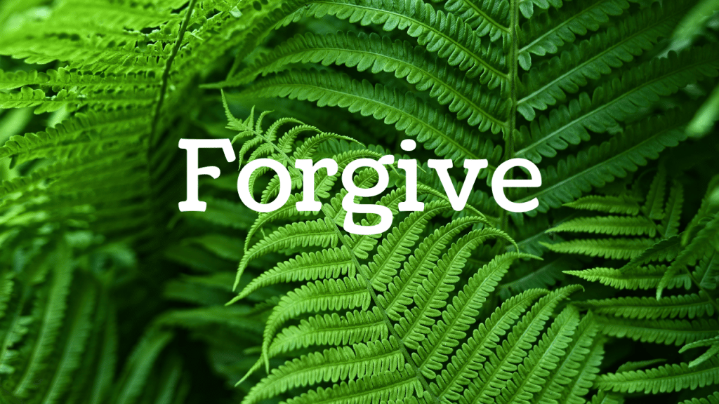 Forgive